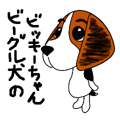 [LINEスタンプ] ビーグル犬のビッキーちゃんの画像（メイン）