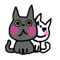 [LINEスタンプ] 白ねこ、ブリティッシュショートと出会う