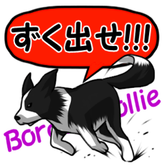 [LINEスタンプ] 長野犬 長野県の方言と愛する犬たち。