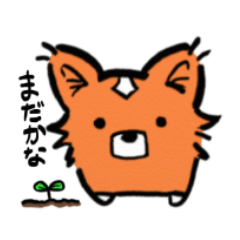 [LINEスタンプ] コーギー犬のコギ太