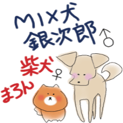 [LINEスタンプ] MIX 犬銀次郎  柴犬まろん