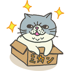 エキゾチックさん