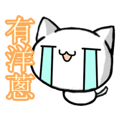 [LINEスタンプ] White and pink cat everyday