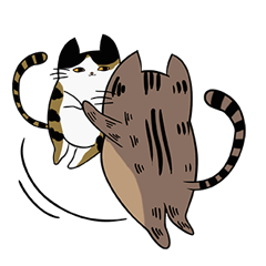 [LINEスタンプ] Meow Box(humanoid)の画像（メイン）