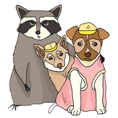 [LINEスタンプ] Oliver The Raccoon - Family Gone Wild