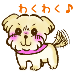 [LINEスタンプ] ノーフォークテリアのきもち