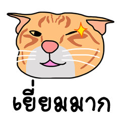 [LINEスタンプ] Meow indy cat