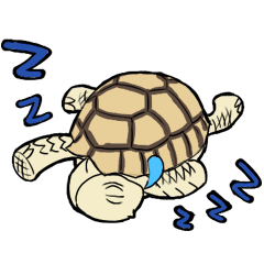 [LINEスタンプ] Tortoise diary