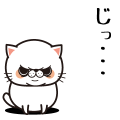 [LINEスタンプ] 不機嫌な顔の猫