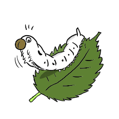 [LINEスタンプ] カイコ