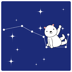 [LINEスタンプ] 宙ガール必見！星と白クマちゃんの画像（メイン）