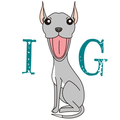 [LINEスタンプ] Italian greyhound fawn＆blue 2