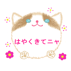 [LINEスタンプ] まんまるねこと仲間たち