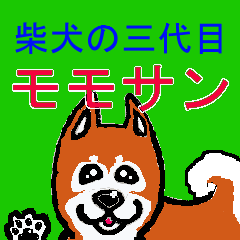 [LINEスタンプ] 柴犬の三代目モモサン
